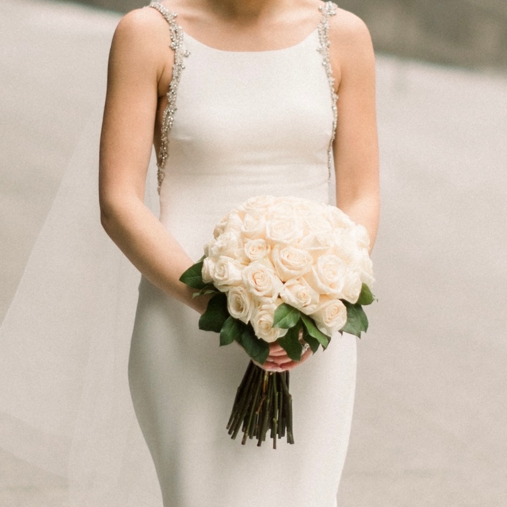 Atelier Pronovias Wedding Dress